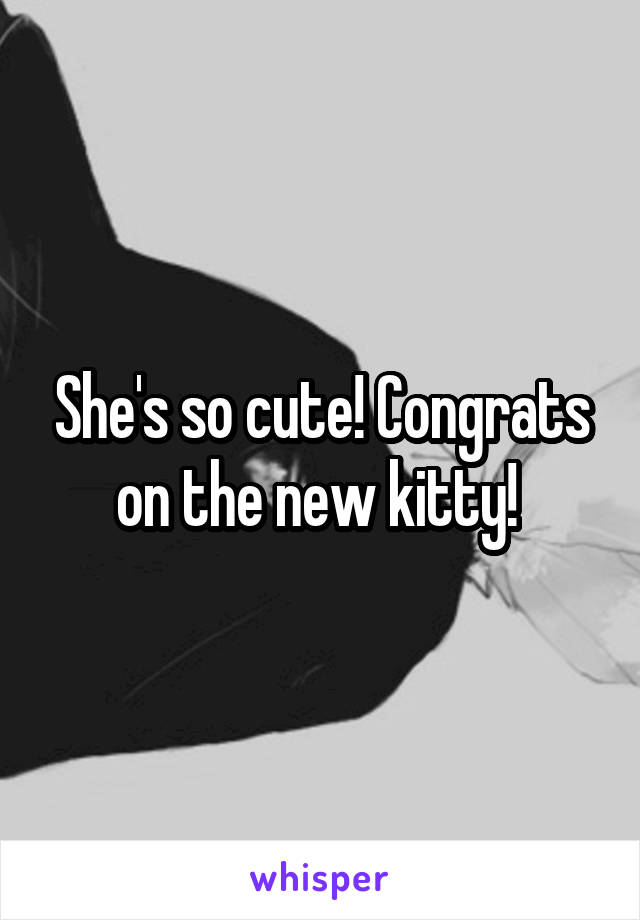 She's so cute! Congrats on the new kitty! 
