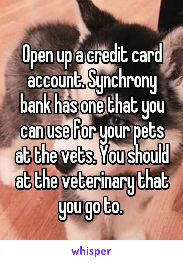 Open up a credit card account. Synchrony bank has one that you can use for your pets at the vets. You should at the veterinary that you go to. 