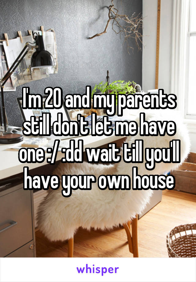 I'm 20 and my parents still don't let me have one :/ :dd wait till you'll have your own house