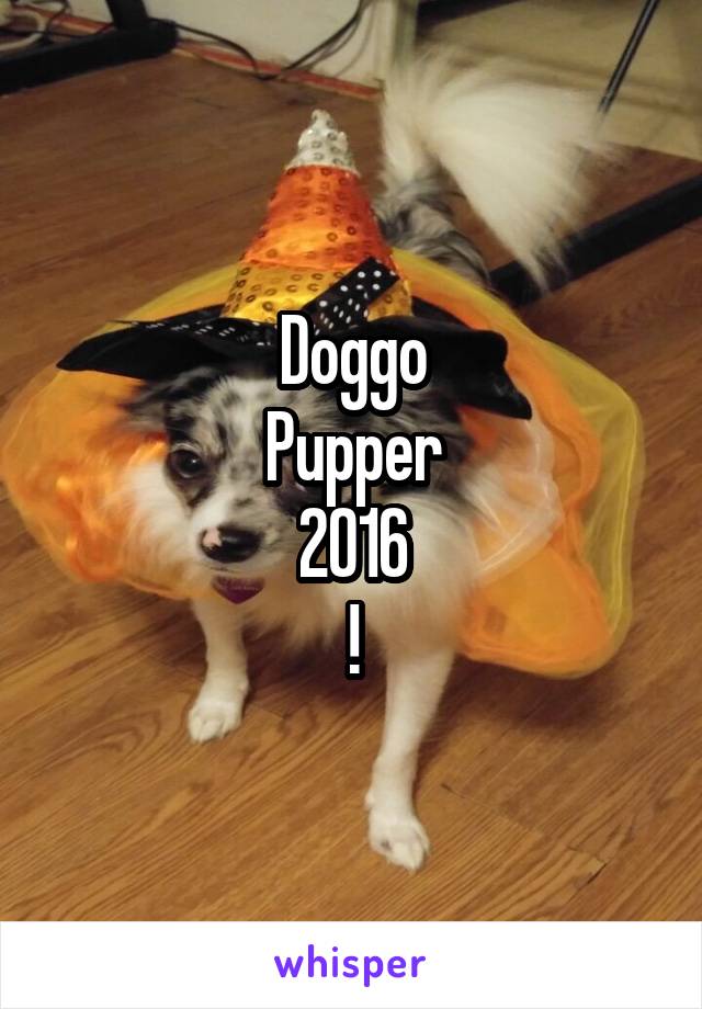 Doggo
Pupper
2016
!