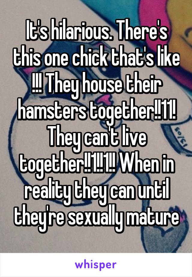 It's hilarious. There's this one chick that's like !!! They house their hamsters together!!11! They can't live together!!1!!1!! When in reality they can until they're sexually mature 