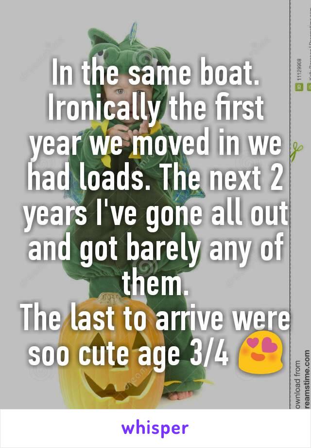 In the same boat. Ironically the first year we moved in we had loads. The next 2 years I've gone all out and got barely any of them.
The last to arrive were soo cute age 3/4 😍