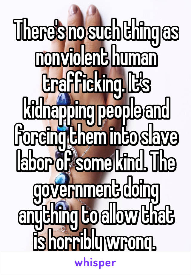 There's no such thing as nonviolent human trafficking. It's kidnapping people and forcing them into slave labor of some kind. The government doing anything to allow that is horribly wrong. 