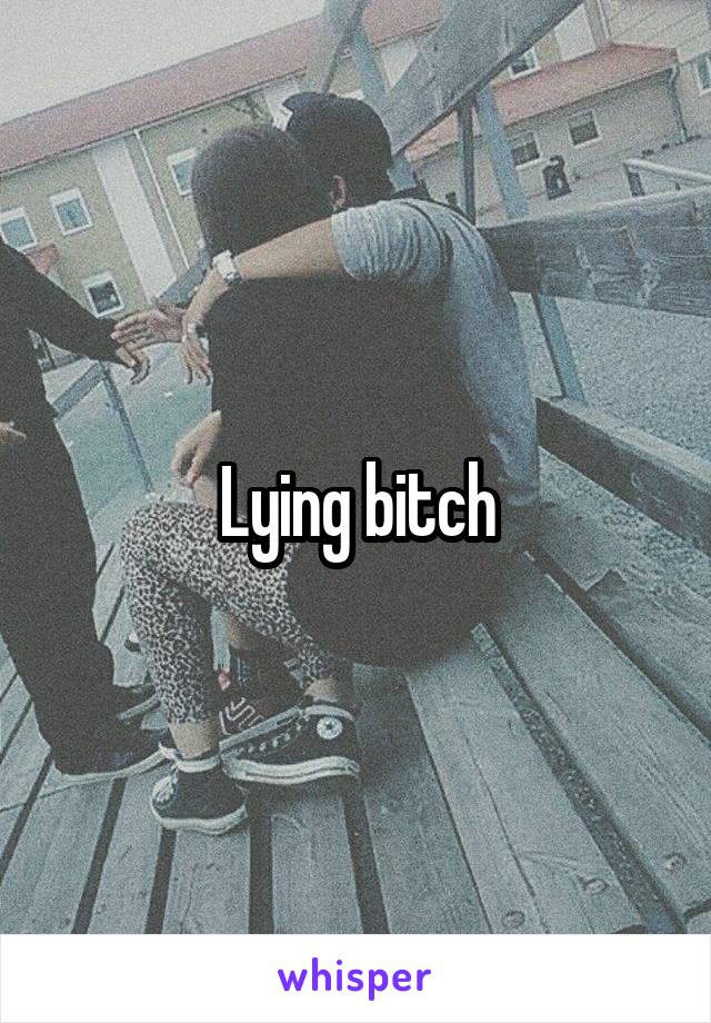 Lying bitch