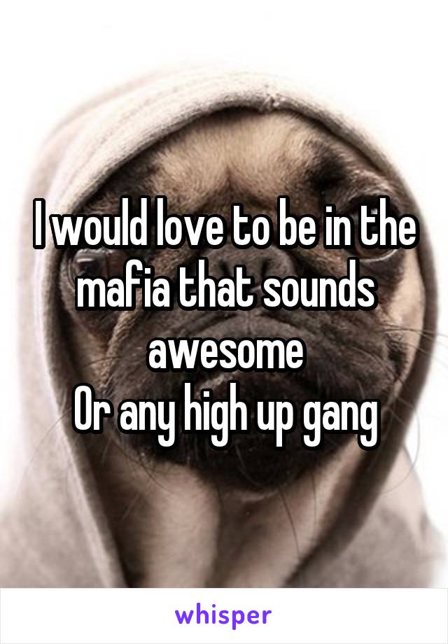 I would love to be in the mafia that sounds awesome
Or any high up gang