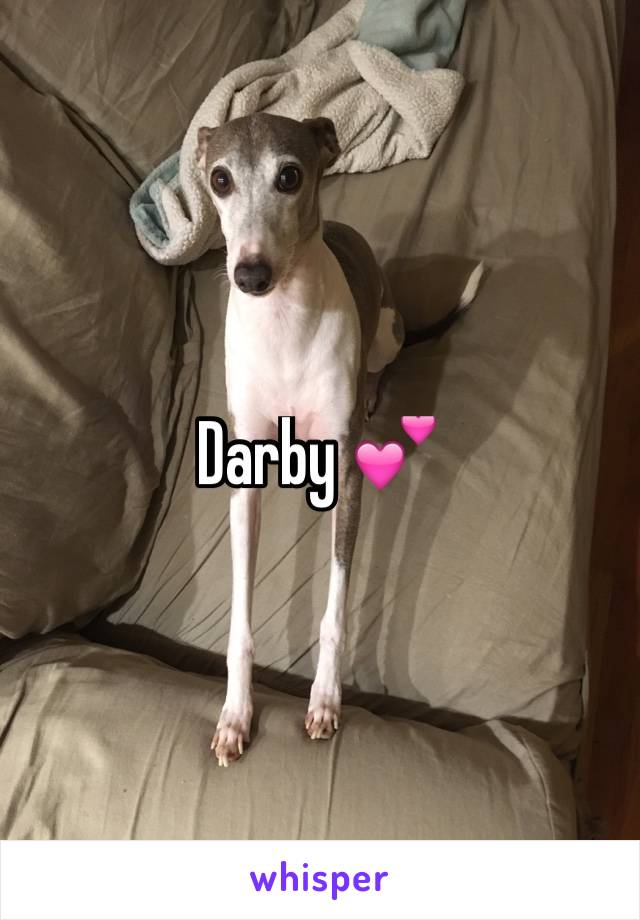 Darby 💕