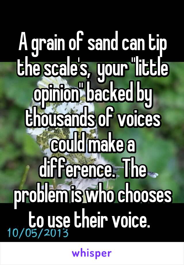 A grain of sand can tip the scale's,  your "little opinion" backed by thousands of voices could make a difference.  The problem is who chooses to use their voice.  