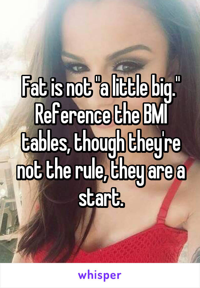 Fat is not "a little big." Reference the BMI tables, though they're not the rule, they are a start.