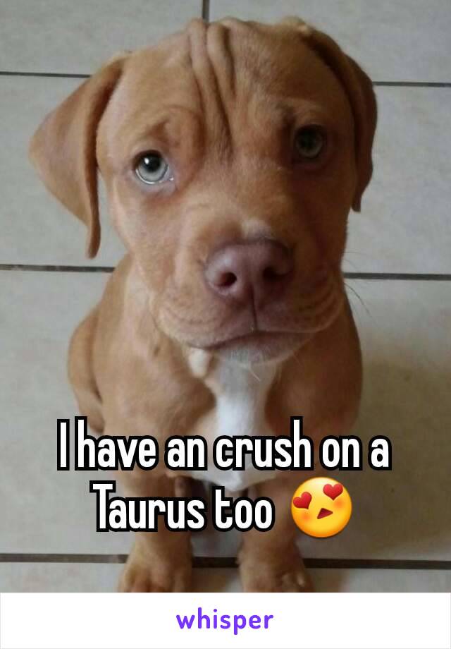 I have an crush on a Taurus too 😍