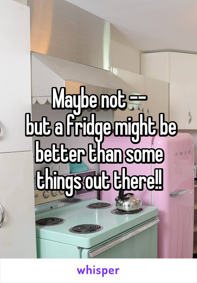 Maybe not --
 but a fridge might be better than some things out there!!