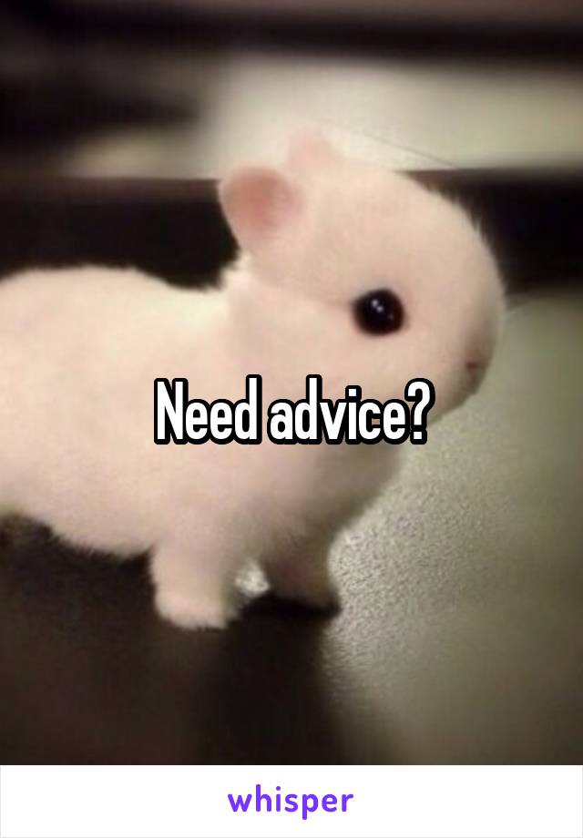 Need advice?