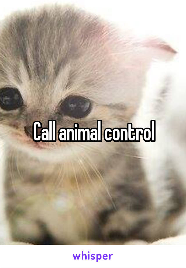 Call animal control