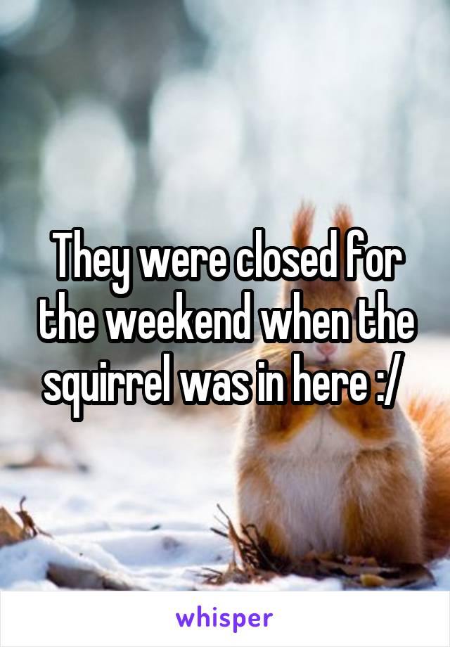 They were closed for the weekend when the squirrel was in here :/ 