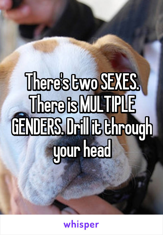 There's two SEXES. There is MULTIPLE GENDERS. Drill it through your head