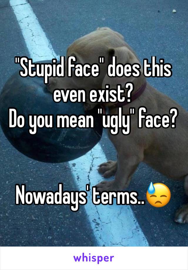 "Stupid face" does this even exist?
Do you mean "ugly" face?


Nowadays' terms..😓