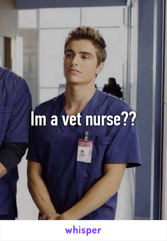 Im a vet nurse??