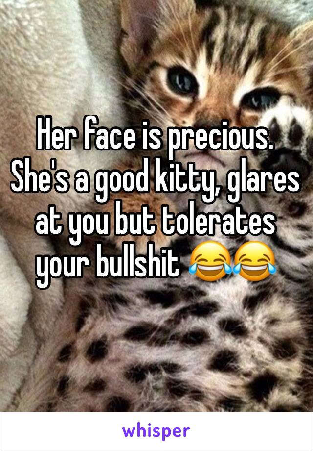 Her face is precious. She's a good kitty, glares at you but tolerates your bullshit 😂😂
