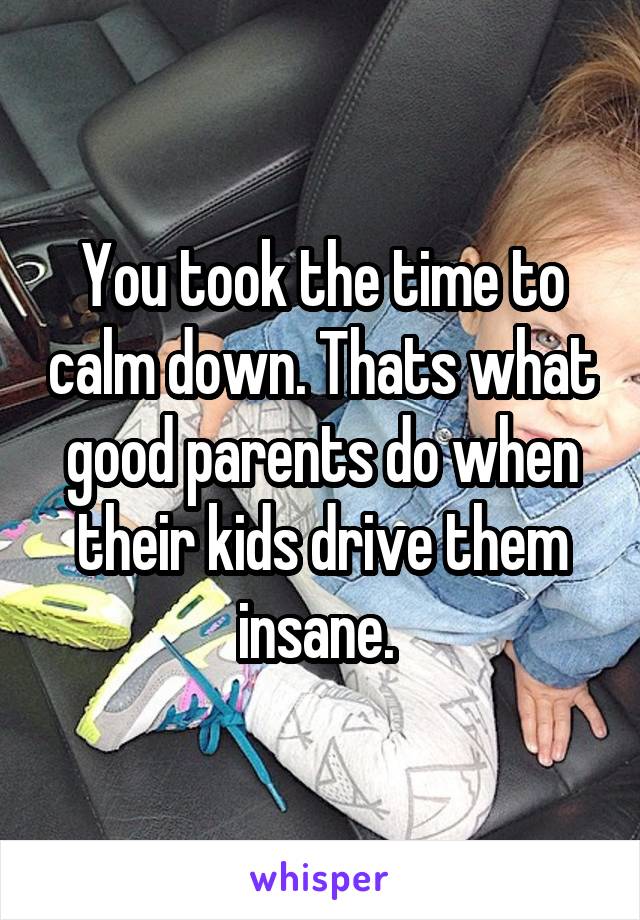 You took the time to calm down. Thats what good parents do when their kids drive them insane. 