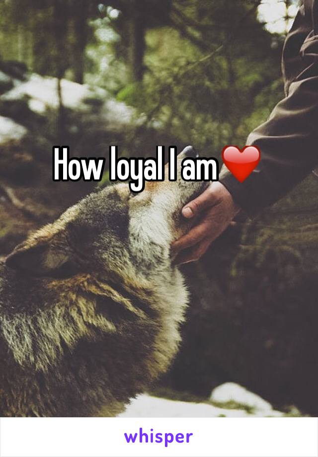 How loyal I am❤️