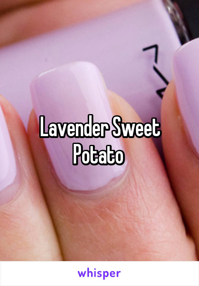 Lavender Sweet Potato 