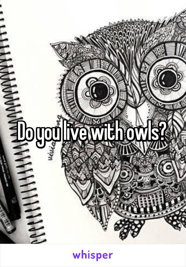 Do you live with owls? 