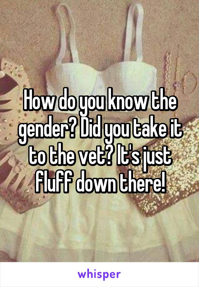 How do you know the gender? Did you take it to the vet? It's just fluff down there!