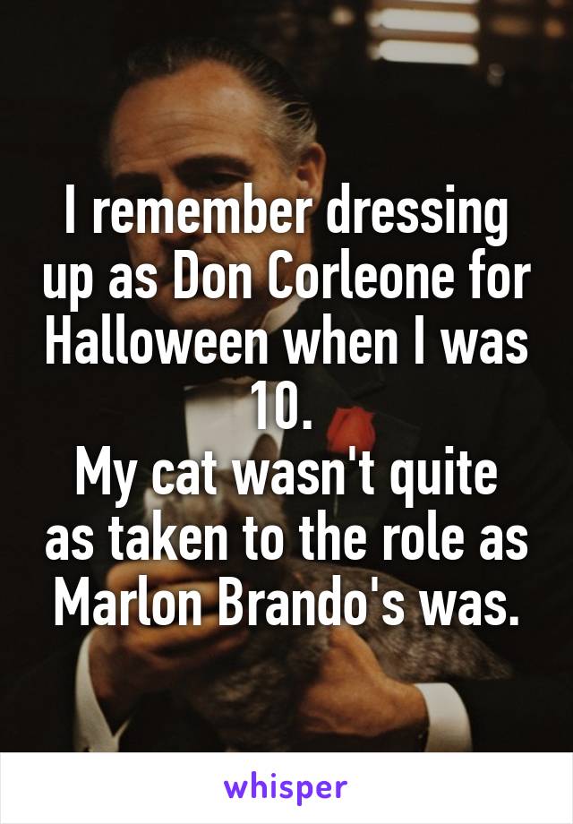 I remember dressing up as Don Corleone for Halloween when I was 10. 
My cat wasn't quite as taken to the role as Marlon Brando's was.