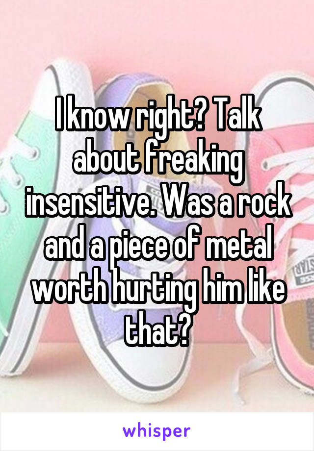 I know right? Talk about freaking insensitive. Was a rock and a piece of metal worth hurting him like that?