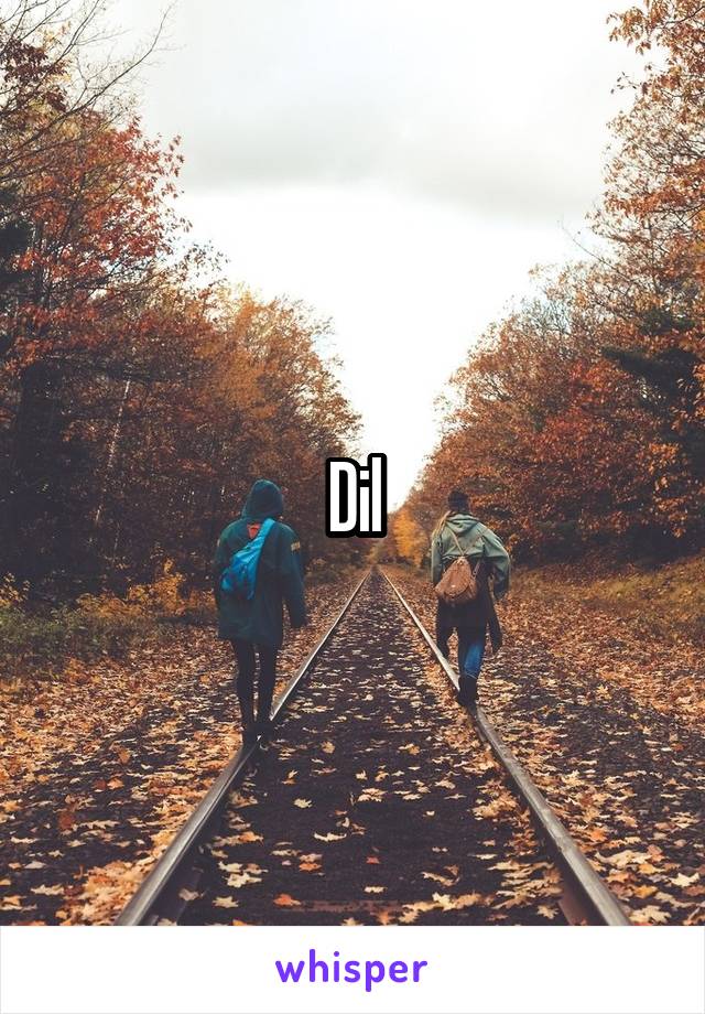 Dil