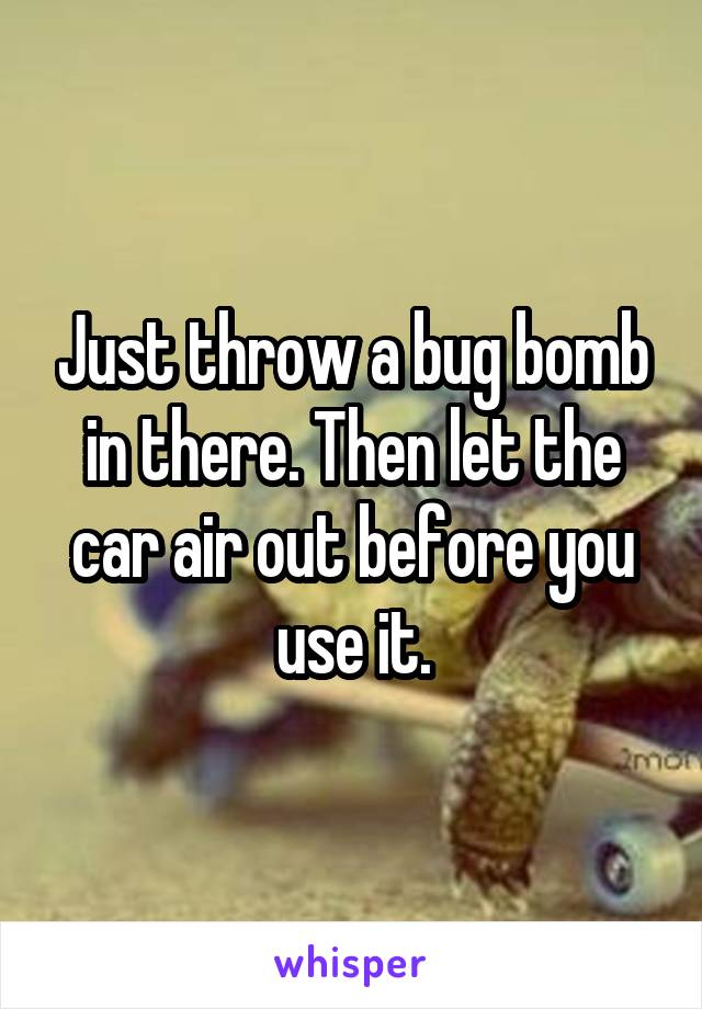Just throw a bug bomb in there. Then let the car air out before you use it.