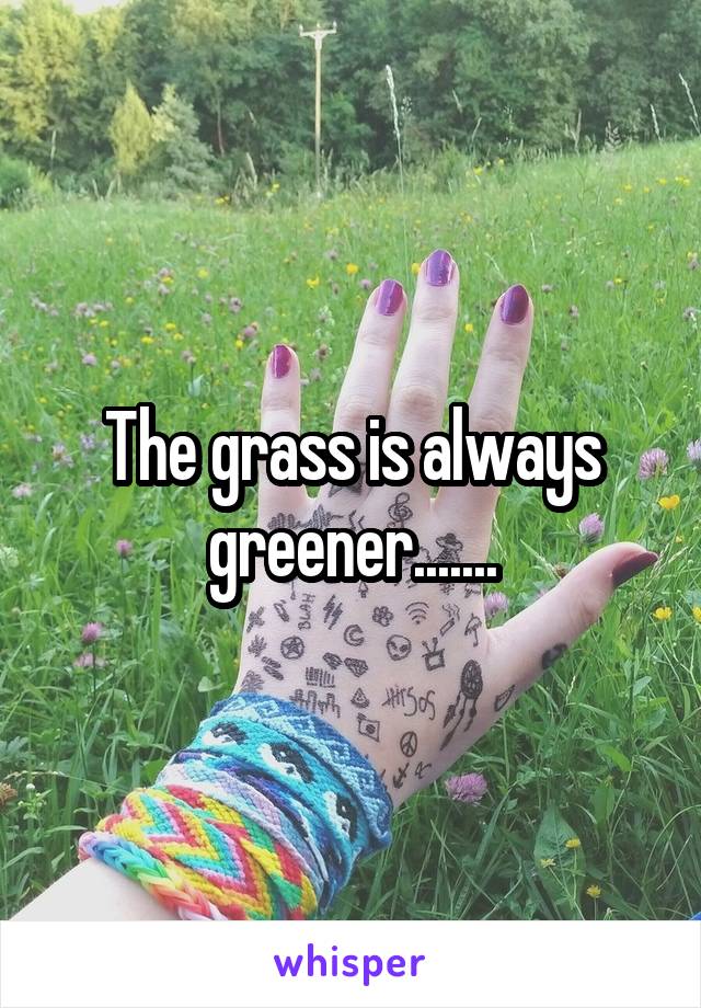 The grass is always greener.......