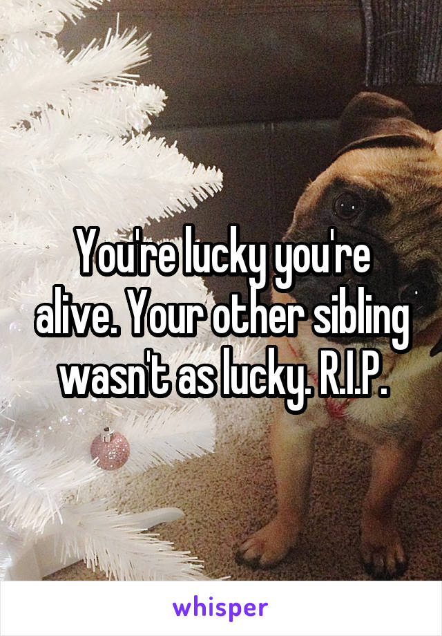 You're lucky you're alive. Your other sibling wasn't as lucky. R.I.P.
