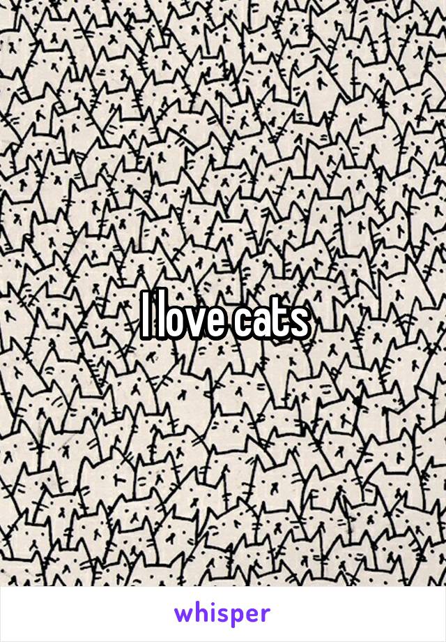 I love cats