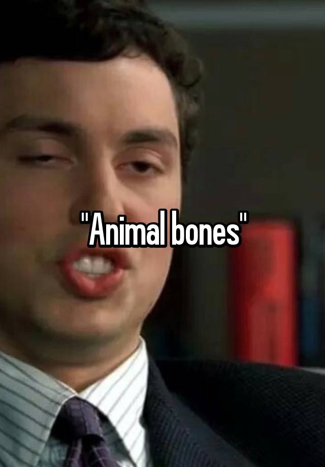 animal-bones