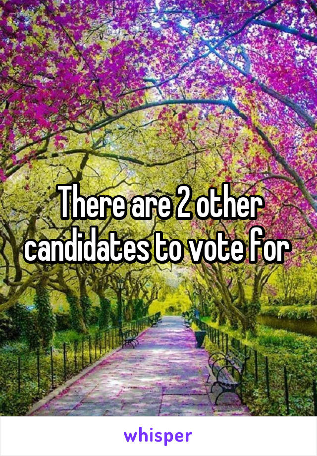 There are 2 other candidates to vote for 