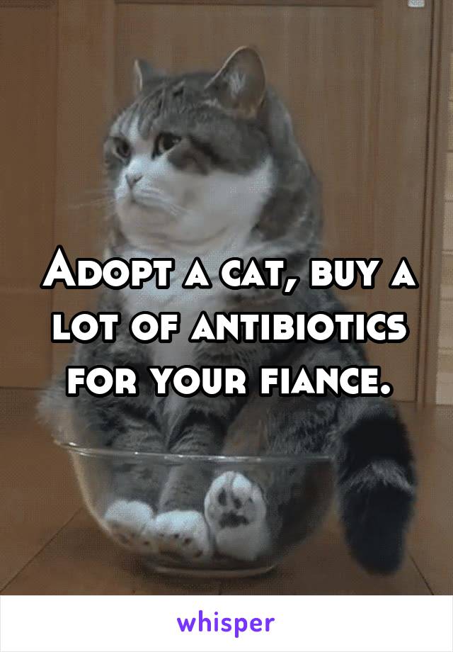 Adopt a cat, buy a lot of antibiotics for your fiance.