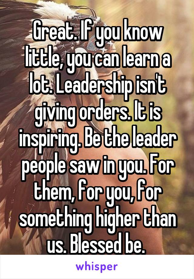 Great. If you know little, you can learn a lot. Leadership isn't giving orders. It is inspiring. Be the leader people saw in you. For them, for you, for something higher than us. Blessed be. 