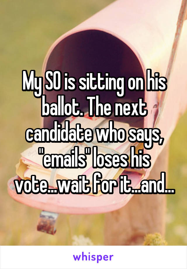 My SO is sitting on his ballot. The next candidate who says, "emails" loses his vote...wait for it...and...