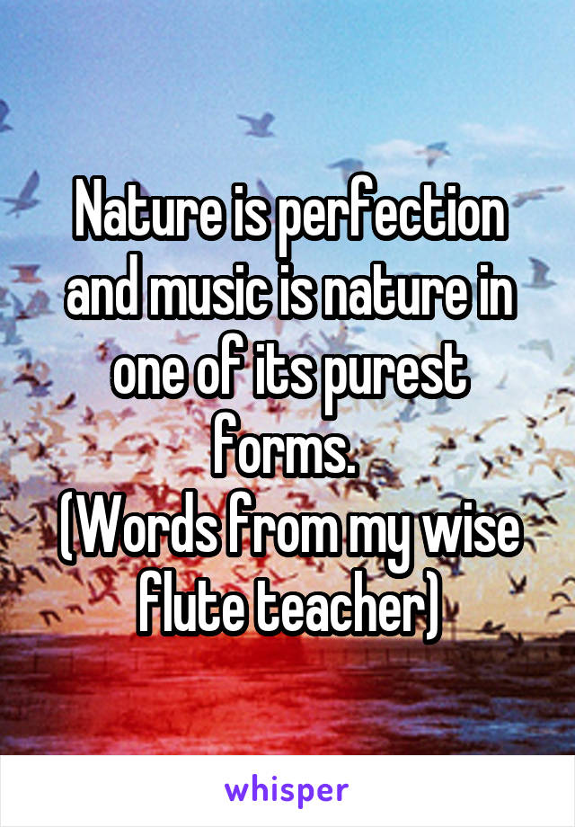 Nature is perfection and music is nature in one of its purest forms. 
(Words from my wise flute teacher)