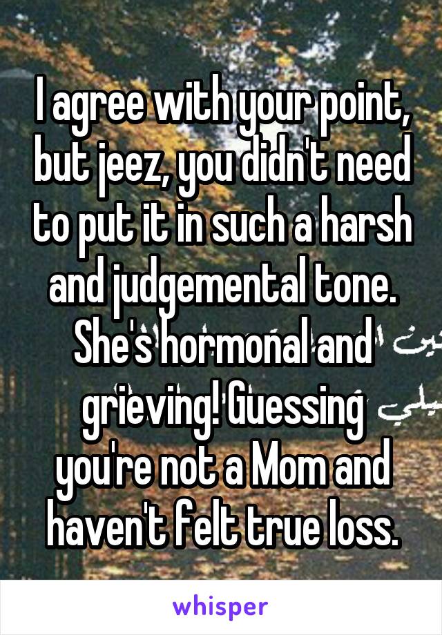 I agree with your point, but jeez, you didn't need to put it in such a harsh and judgemental tone. She's hormonal and grieving! Guessing you're not a Mom and haven't felt true loss.