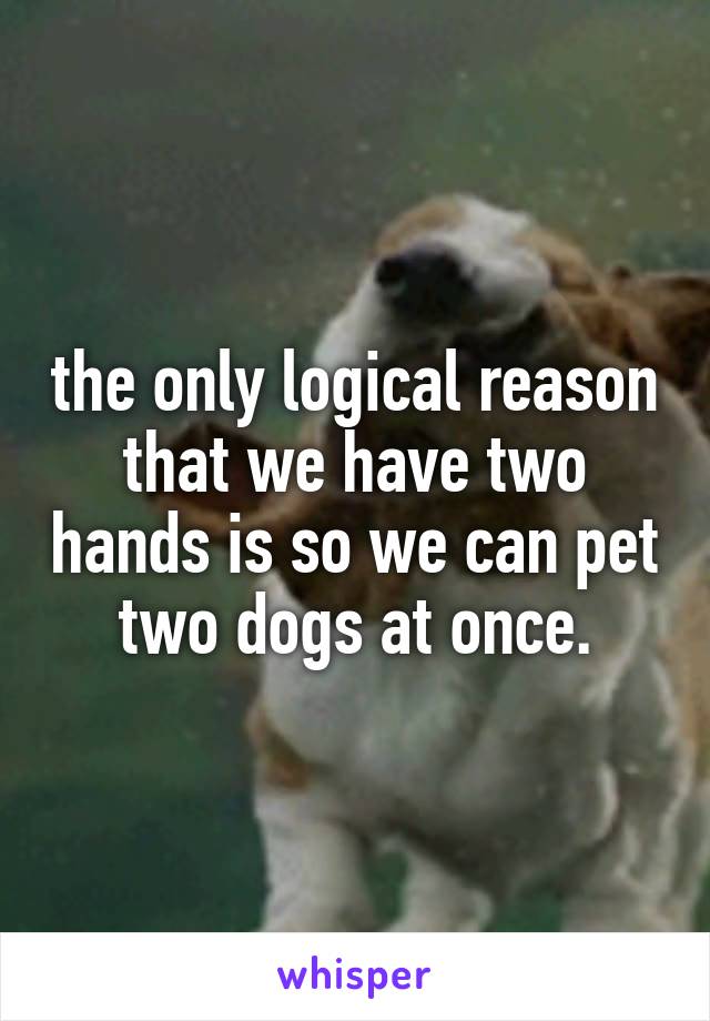 the only logical reason that we have two hands is so we can pet two dogs at once.