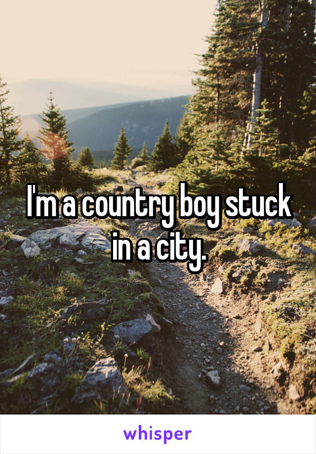 I'm a country boy stuck in a city.