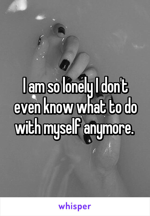 I am so lonely I don't even know what to do with myself anymore. 