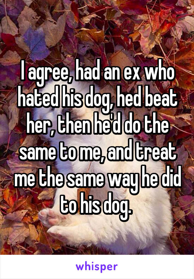 I agree, had an ex who hated his dog, hed beat her, then he'd do the same to me, and treat me the same way he did to his dog. 