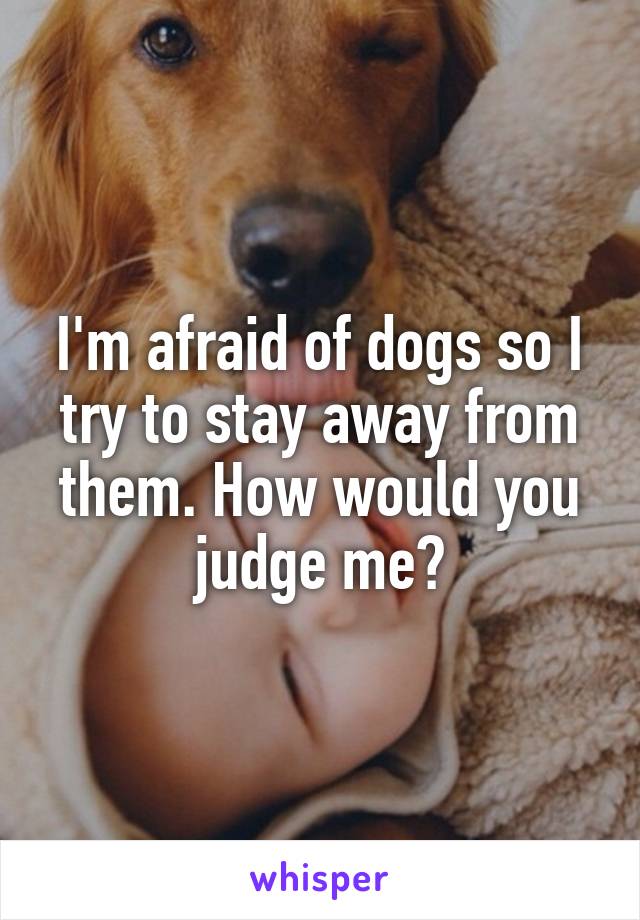 I'm afraid of dogs so I try to stay away from them. How would you judge me?