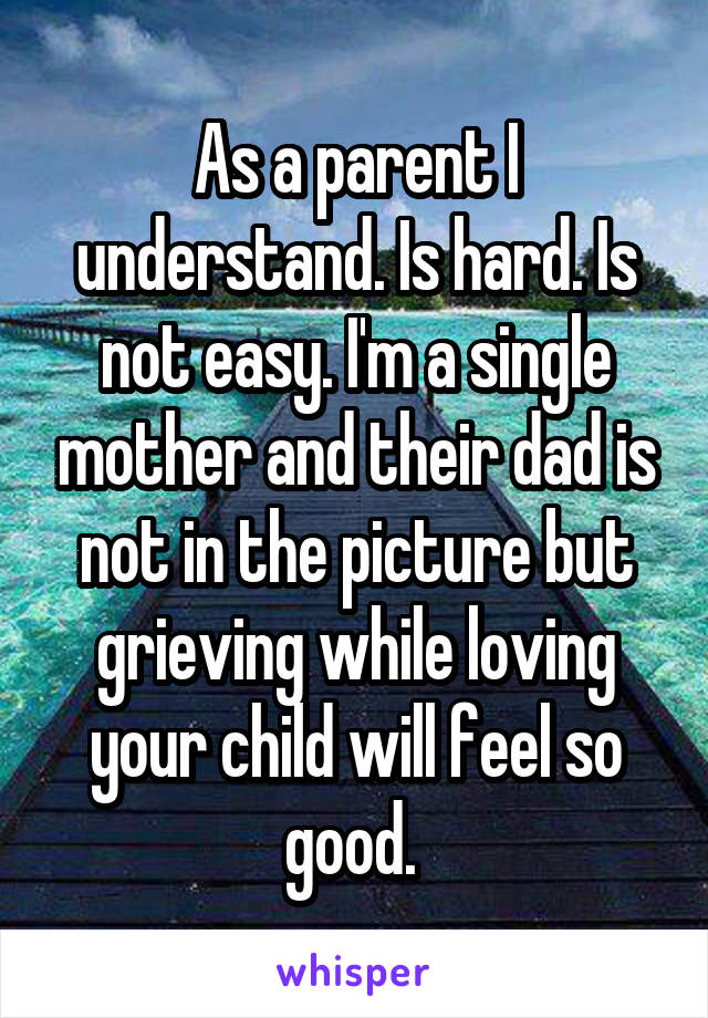 As a parent I understand. Is hard. Is not easy. I'm a single mother and their dad is not in the picture but grieving while loving your child will feel so good. 