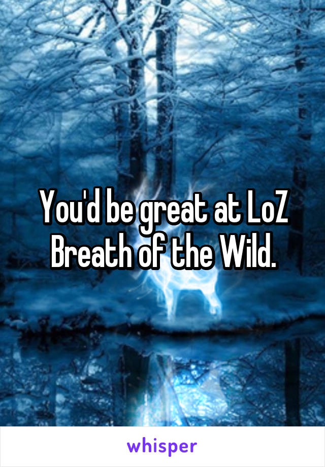 You'd be great at LoZ Breath of the Wild.
