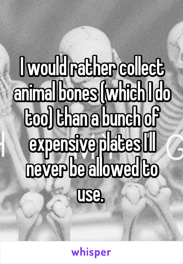 I would rather collect animal bones (which I do too) than a bunch of expensive plates I'll never be allowed to use. 