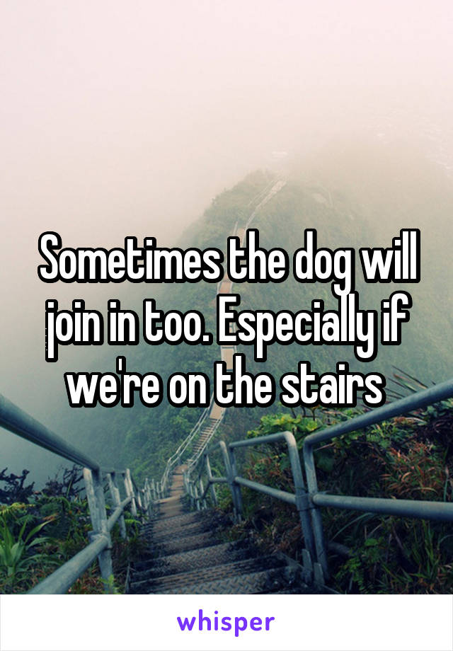 Sometimes the dog will join in too. Especially if we're on the stairs 