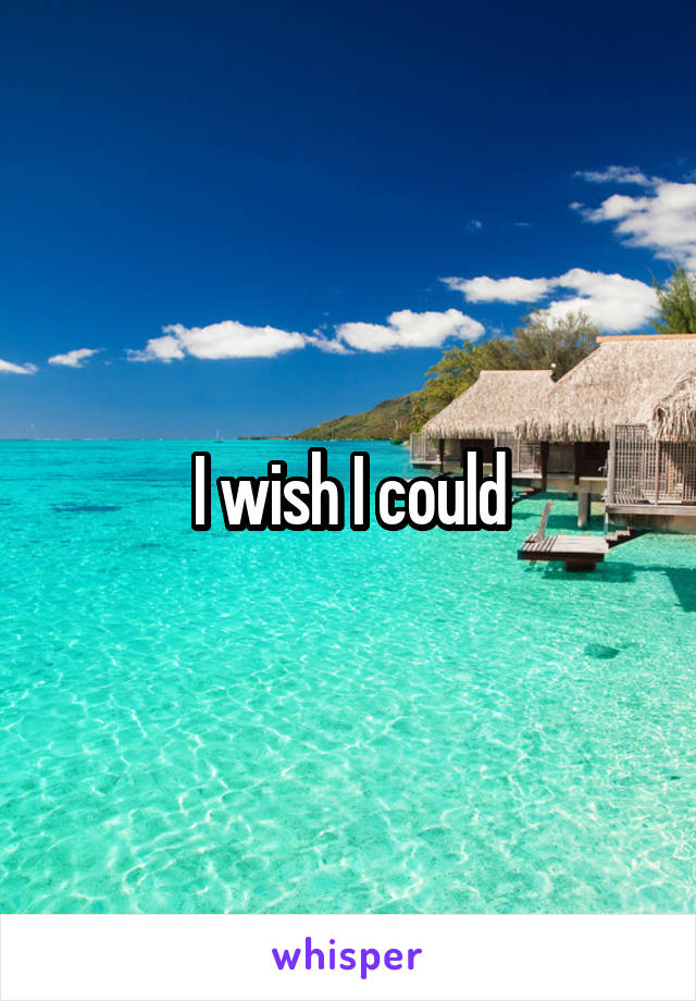 I wish I could